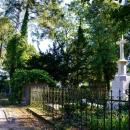 Turek Cmentarz Ewangelicko-augsburski4